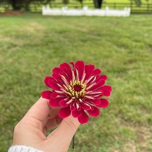 Meet your Posher, Blakely